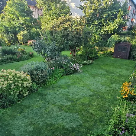 A Special In A Private German Style Mannheim